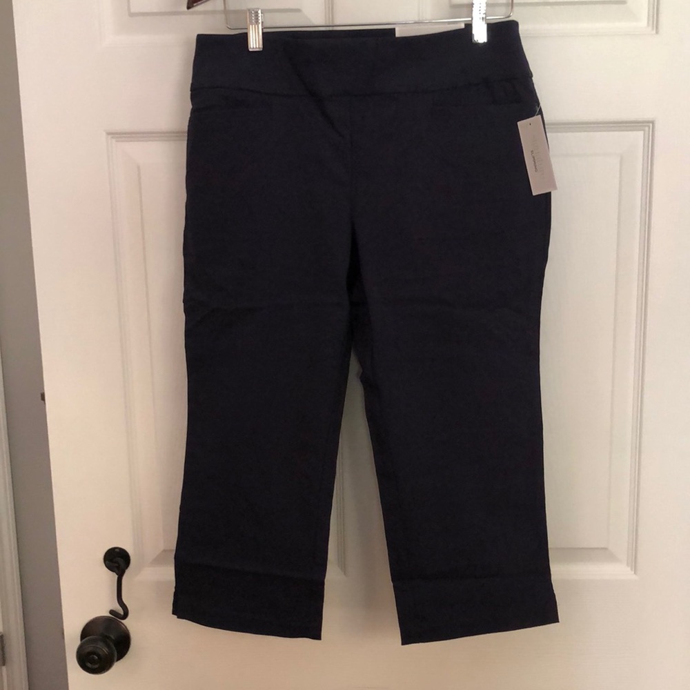 🆕 Christopher & Banks NAVY perfect pant crop 10 average signature slimming NWT